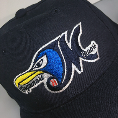 写真が入ります